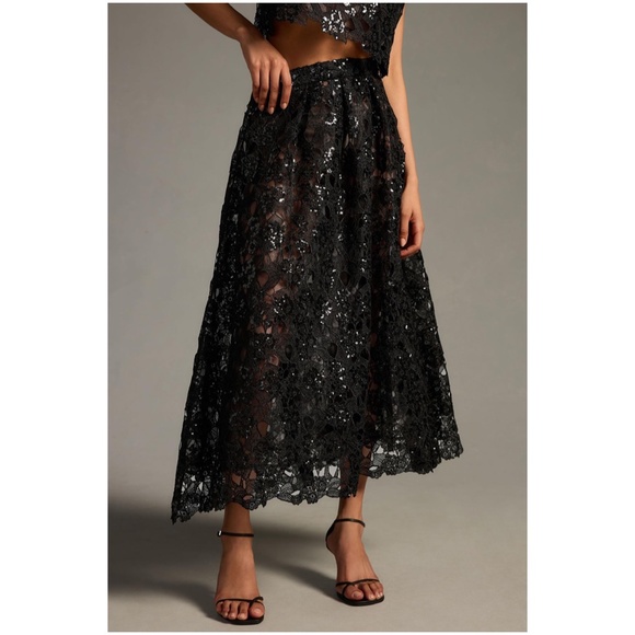 Anthropologie Eva Franco Embroidered Lace Black Maxi Skirt - Picture 5 of 5